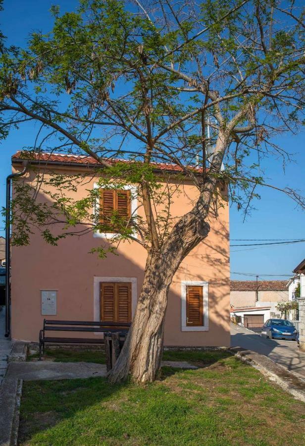 Apartman Juraj I Matej Vrsar Exterior photo